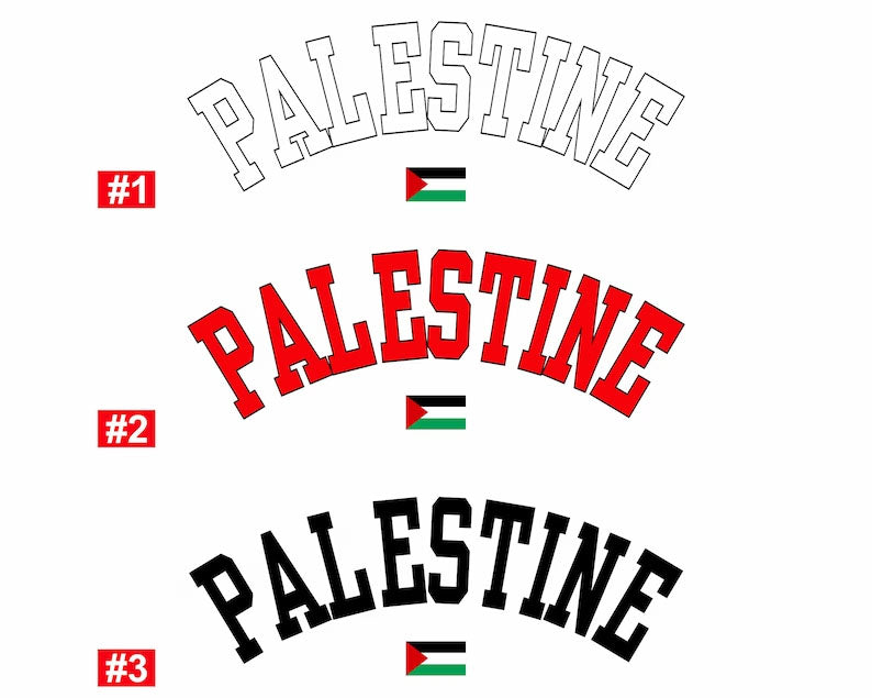 Palestine Crewneck Sweatshirt, Palestine Flag Printed Sweater, Support Palestine Freedom Gaza Protest Top, Palestinian Shirt, Comfy Jumper