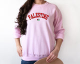 Palestine Crewneck Sweatshirt, Palestine Flag Printed Sweater, Support Palestine Freedom Gaza Protest Top, Palestinian Shirt, Comfy Jumper