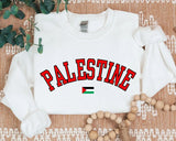 Palestine Sweater, Palestine Flag Printed Crewneck Sweatshirt, Support Palestine Freedom Gaza Protest Top, Palestinian Shirt, Comfy Jumper