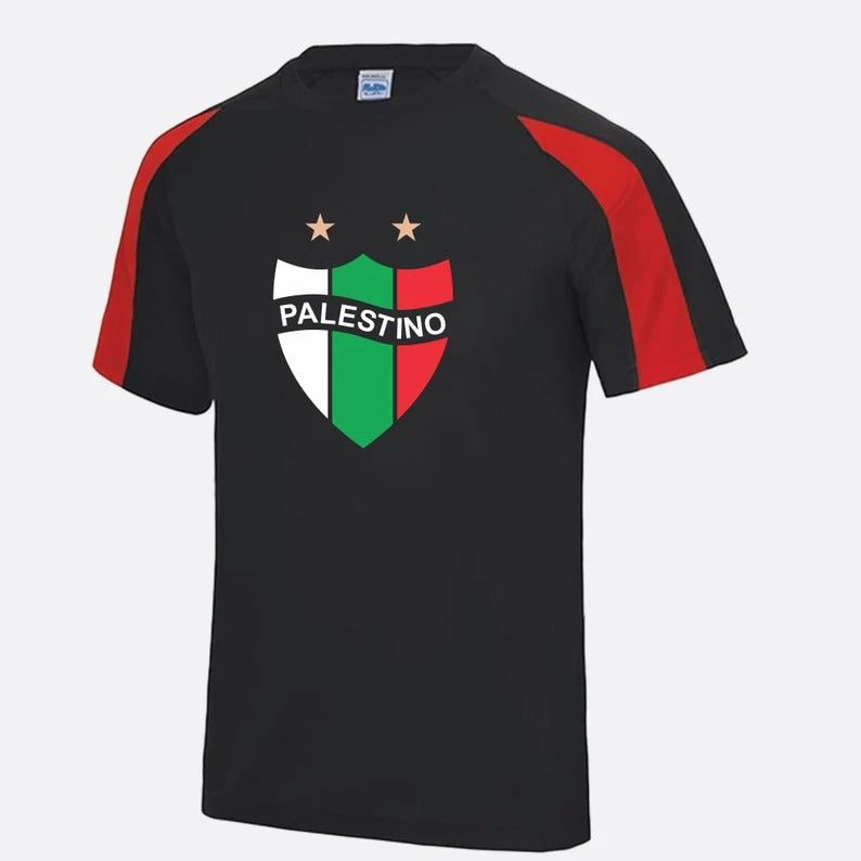 Palestine Logo Football Shirt, Palestine Flag Logo Sports Printed T Shirt, Palestine Football Lover Tees, 100 Polyester Shirts, Muslims Gift