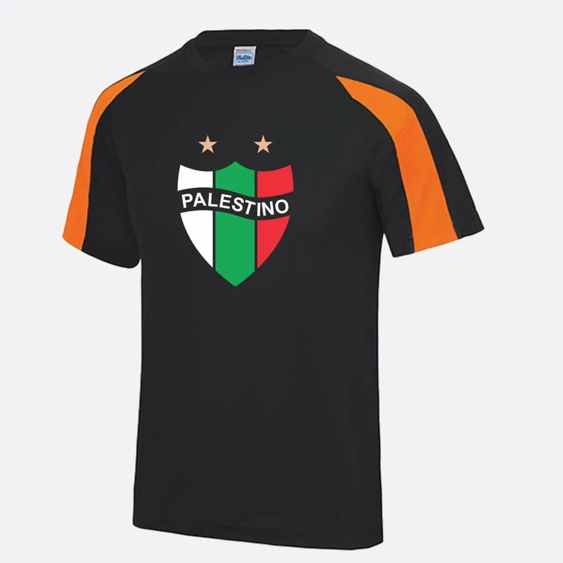 Palestine Logo Football Shirt, Palestine Flag Logo Sports Printed T Shirt, Palestine Football Lover Tees, 100 Polyester Shirts, Muslims Gift