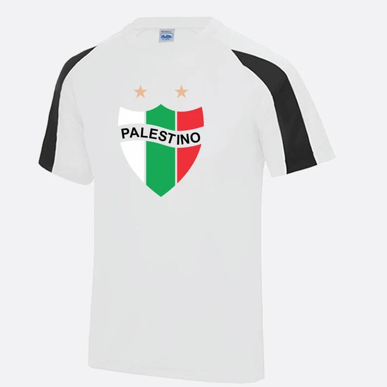 Palestine Logo Football Shirt, Palestine Flag Logo Sports Printed T Shirt, Palestine Football Lover Tees, 100 Polyester Shirts, Muslims Gift