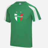 Palestine Logo Football Shirt, Palestine Flag Logo Sports Printed T Shirt, Palestine Football Lover Tees, 100 Polyester Shirts, Muslims Gift